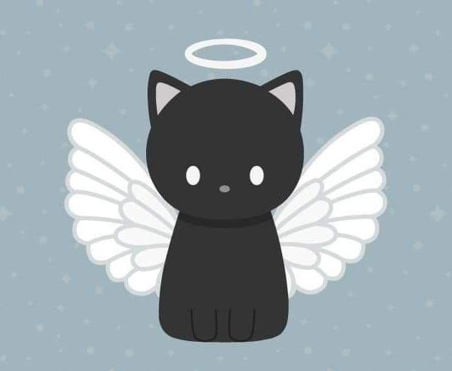 Asiya uploaded   44  day/s  ago