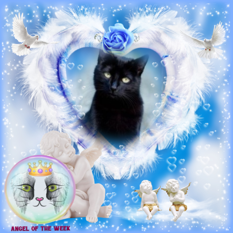 Asiya uploaded   33  day/s  ago