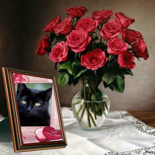 Asiya uploaded   44  day/s  ago