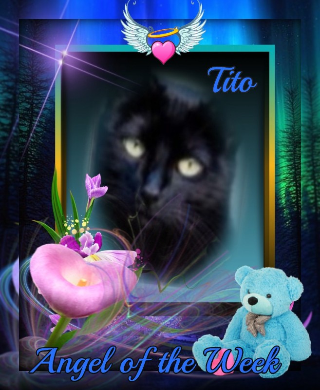 Asiya uploaded   35  day/s  ago