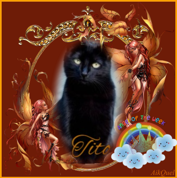 Asiya uploaded   34  day/s  ago