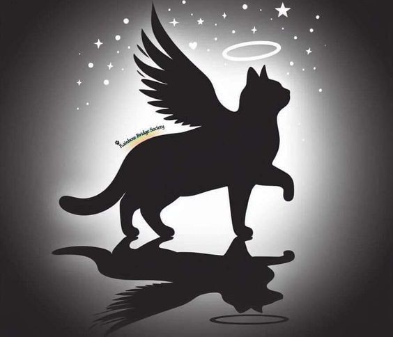 Asiya uploaded   33  day/s  ago