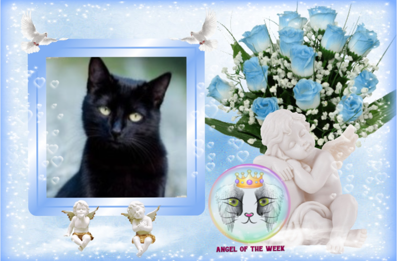 Asiya uploaded   33  day/s  ago