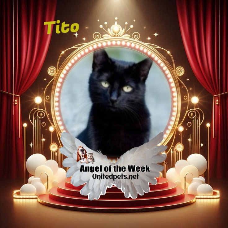 Asiya uploaded   42  day/s  ago