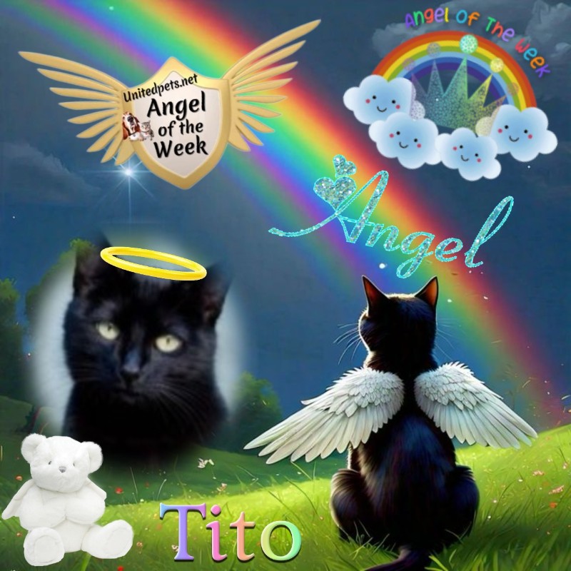 Asiya uploaded   33  day/s  ago