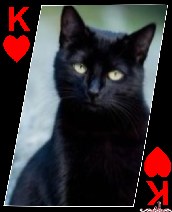 Asiya uploaded   35  day/s  ago