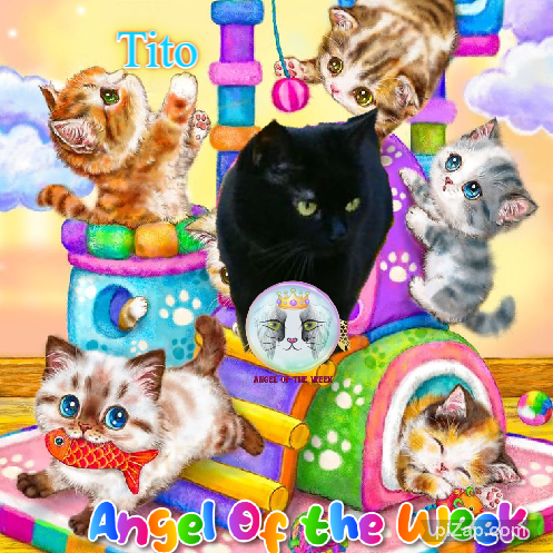 Asiya uploaded   41  day/s  ago