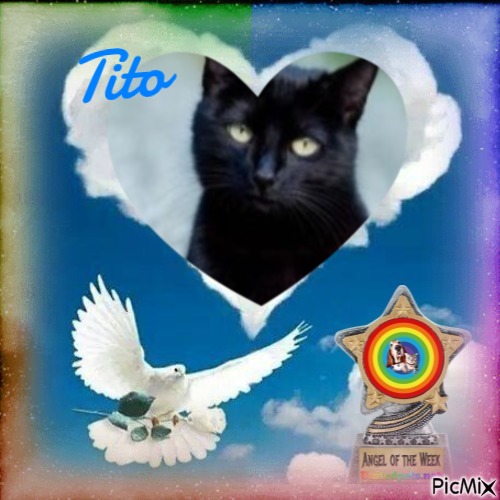 Asiya uploaded   41  day/s  ago