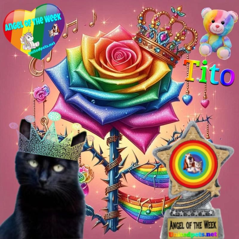 Asiya uploaded   42  day/s  ago