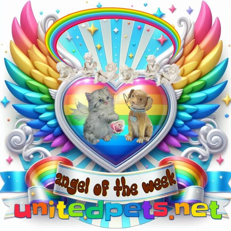 Asiya uploaded   44  day/s  ago