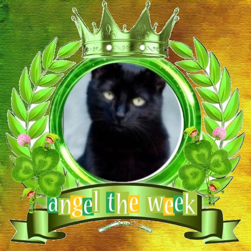 Asiya uploaded   42  day/s  ago