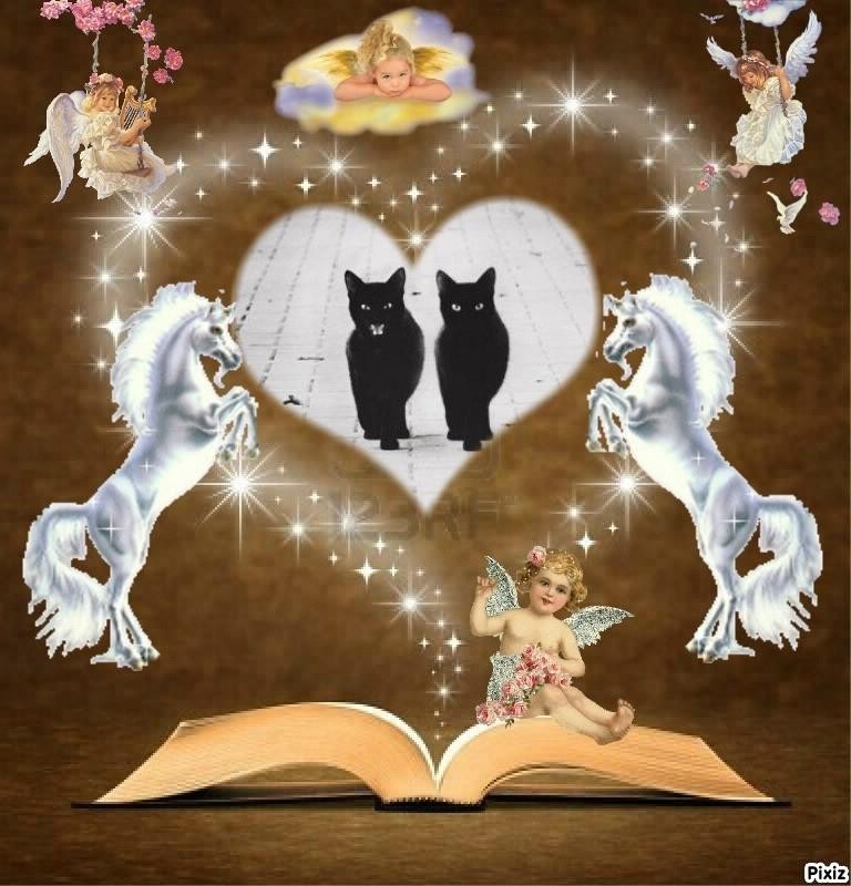 Asiya uploaded   43  day/s  ago