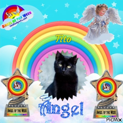 Tito of the Asiya family