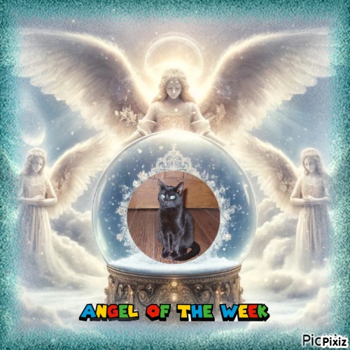 Asiya uploaded   43  day/s  ago