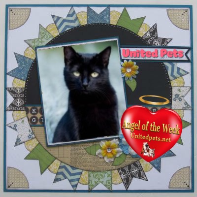 Asiya uploaded   43  day/s  ago