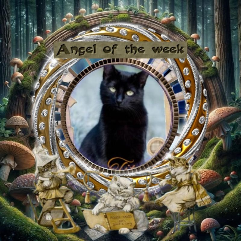 Asiya uploaded   33  day/s  ago