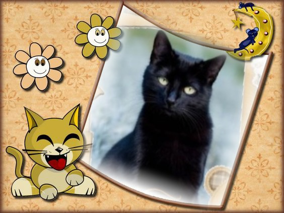 Asiya uploaded   47  day/s  ago