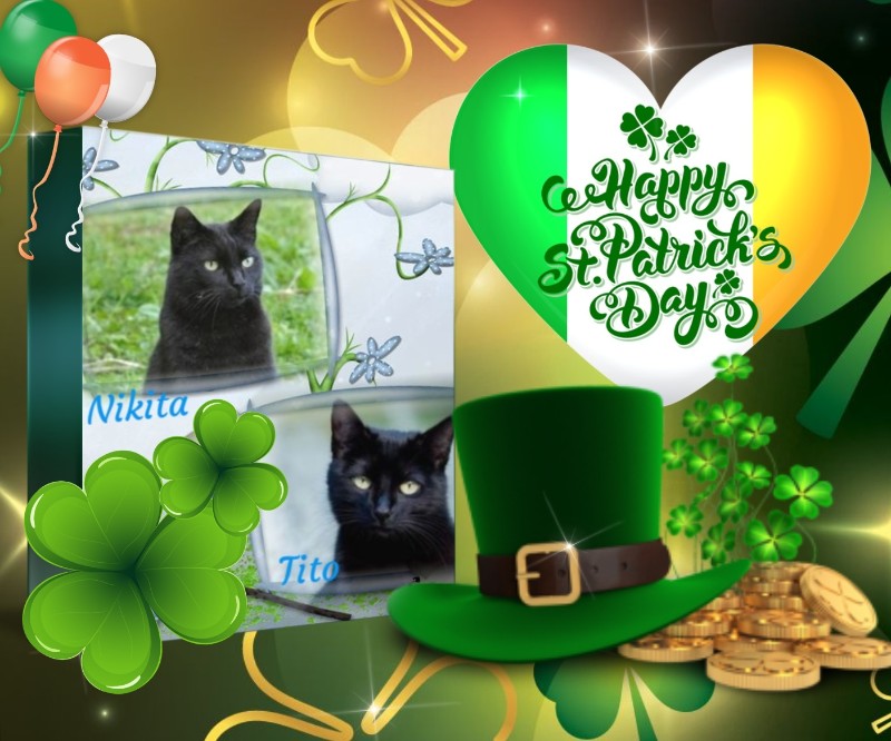 Tito of the Asiya family