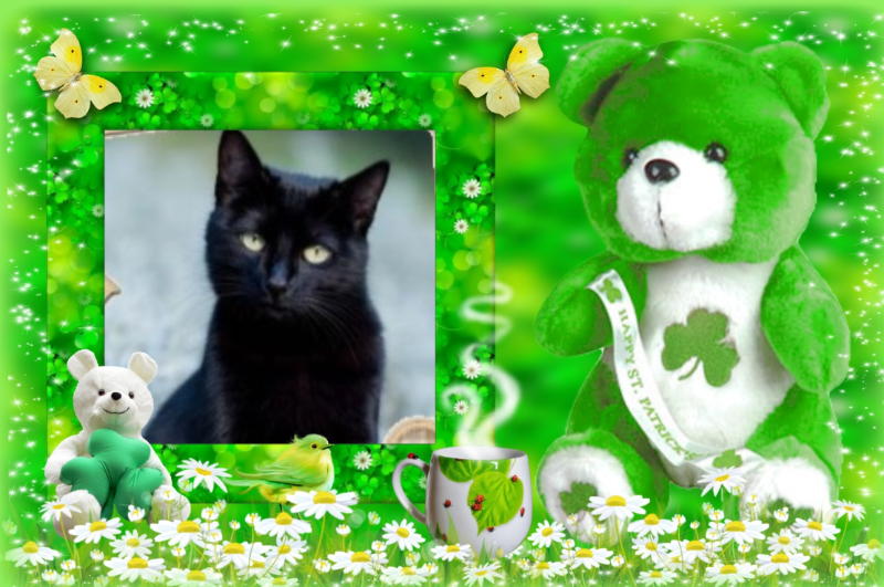 Asiya uploaded   47  day/s  ago