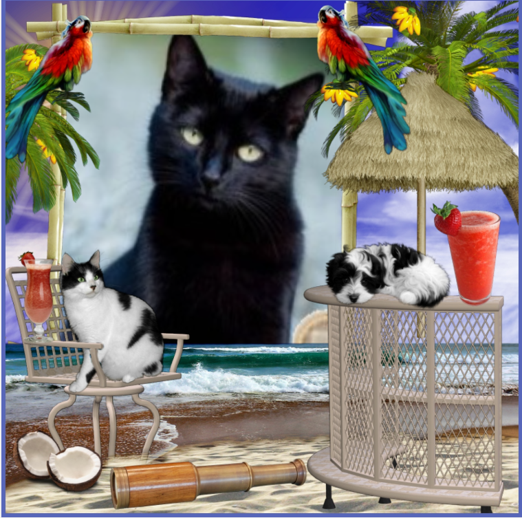 Asiya uploaded   12  day/s  ago