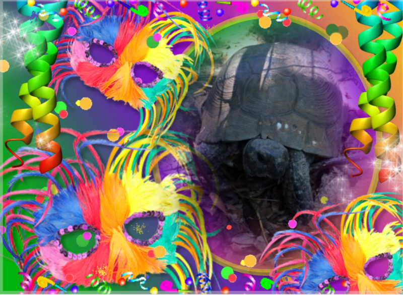 Scaramacai of the Asiya family