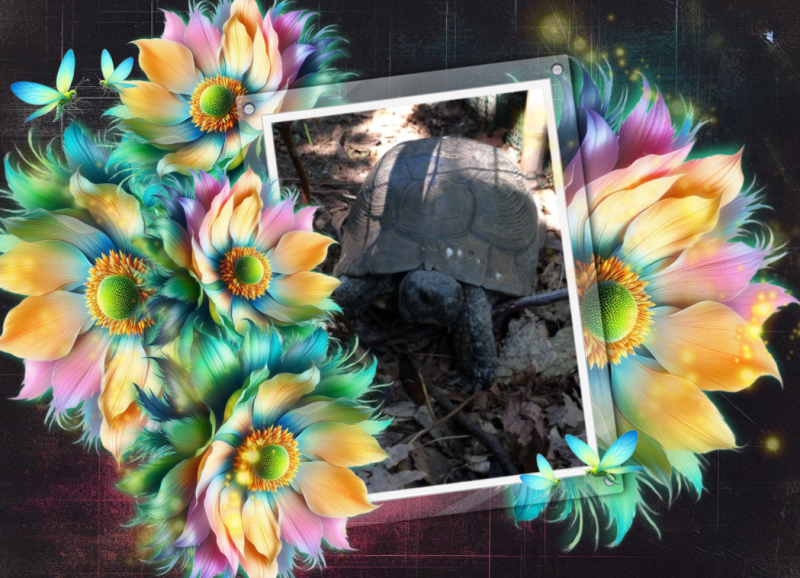 Asiya uploaded   13 hour/s ago