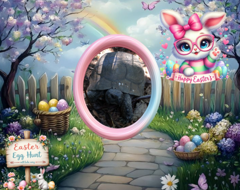 Asiya uploaded   5  day/s  ago