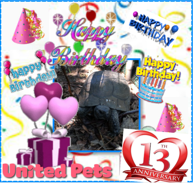 Asiya uploaded   5 hour/s ago