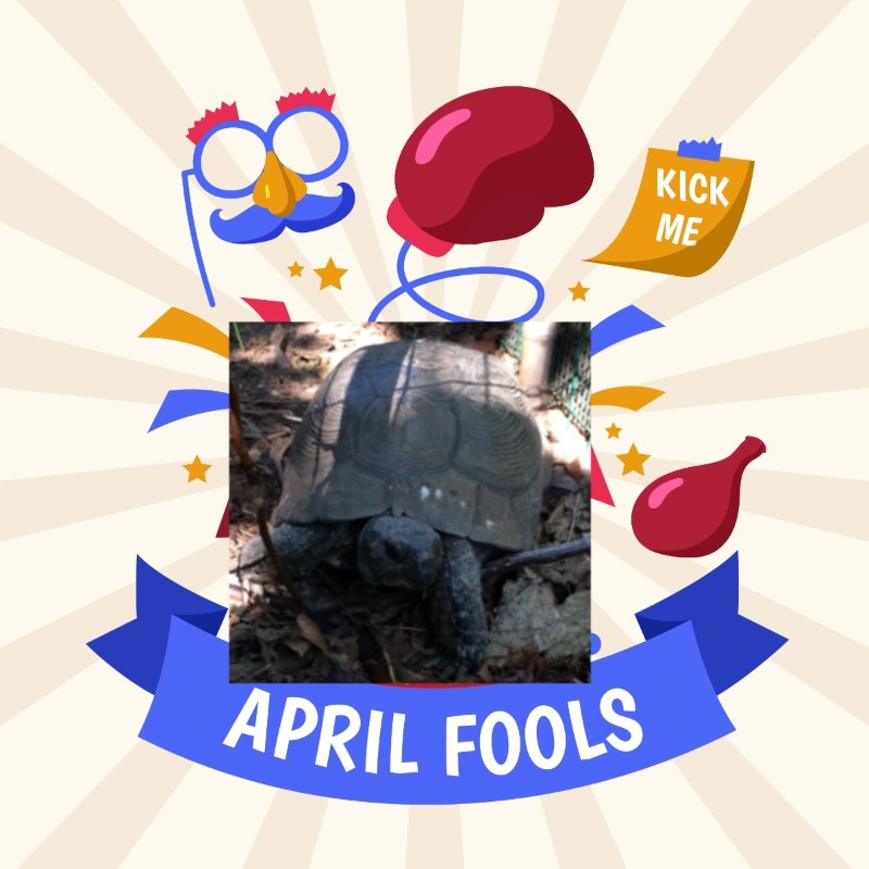 Asiya uploaded   14  day/s  ago