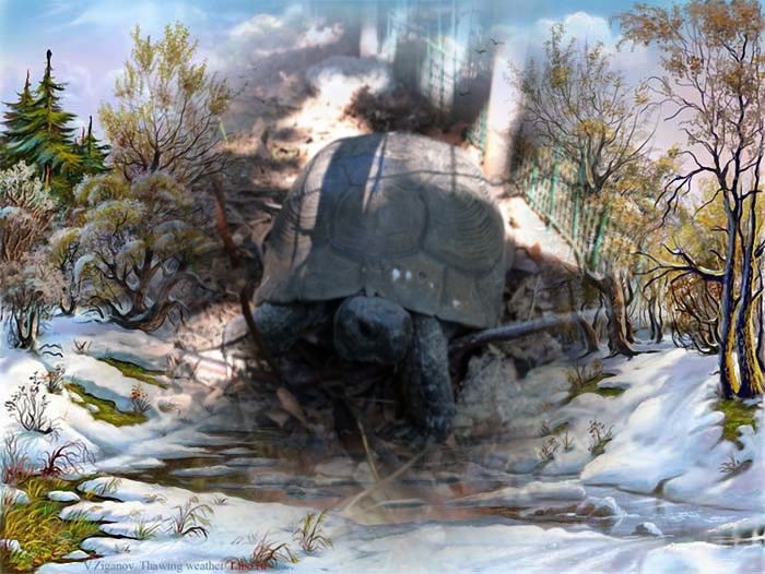 Scaramacai of the Asiya family