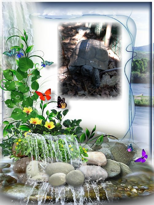 Asiya uploaded   33  day/s  ago