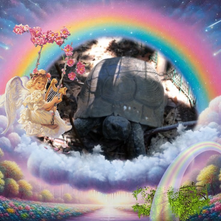 Asiya uploaded   47  day/s  ago