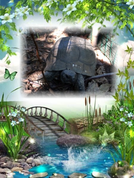 Asiya uploaded   33  day/s  ago