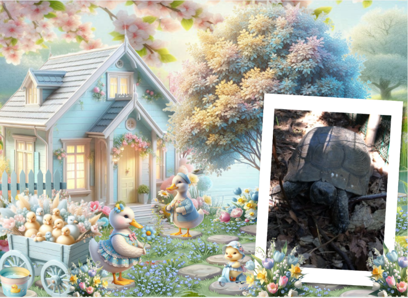 Asiya uploaded   13 hour/s ago