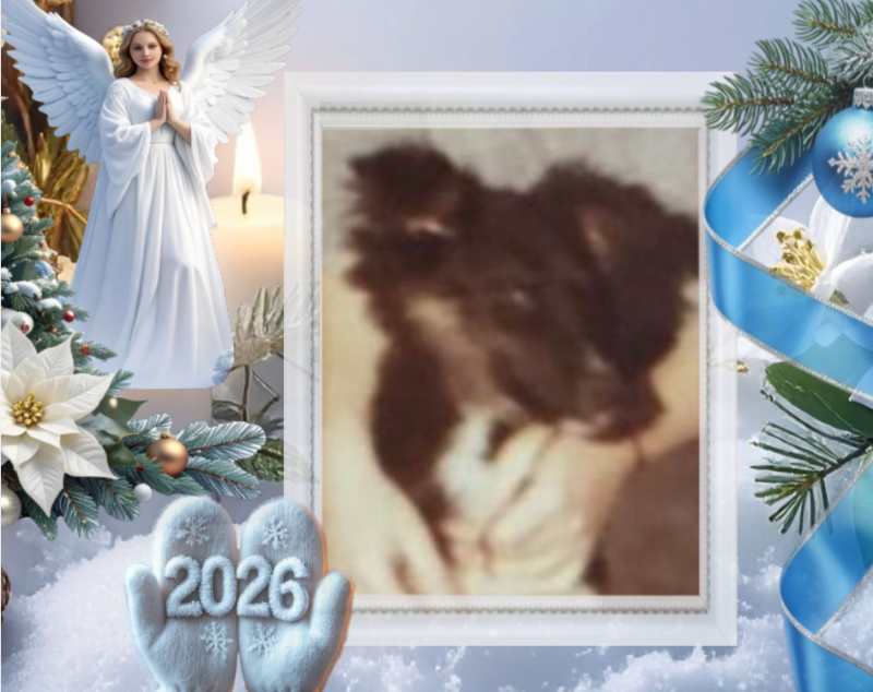 Laika of the Asiya family