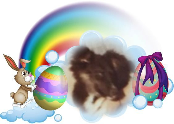 Laika of the Asiya family