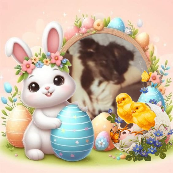 Laika of the Asiya family