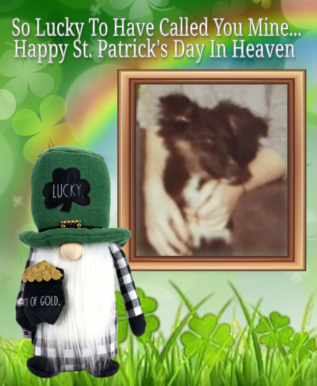 Asiya uploaded   56  day/s  ago