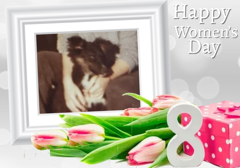 Asiya uploaded   45  day/s  ago