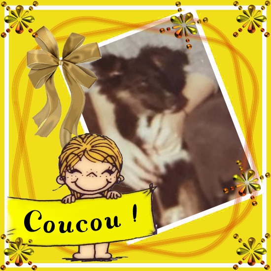 Asiya uploaded   55  day/s  ago