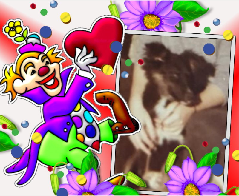 Laika of the Asiya family