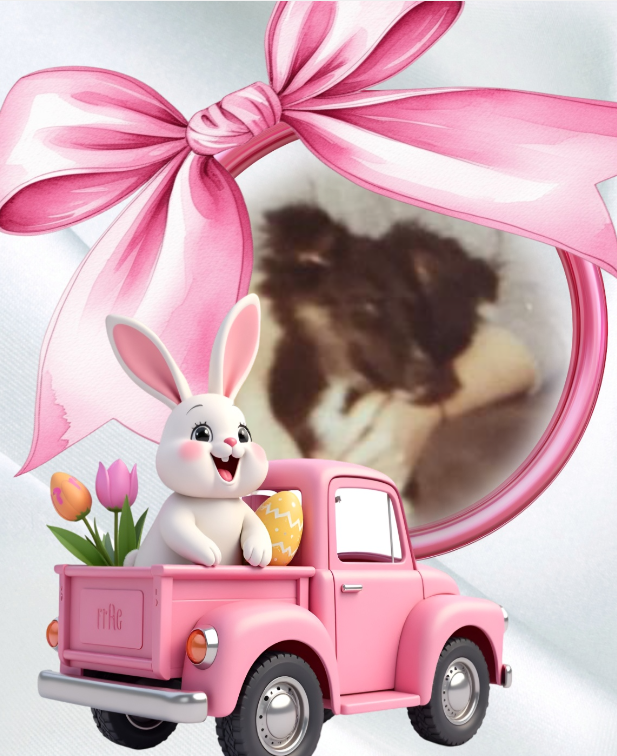 Laika of the Asiya family