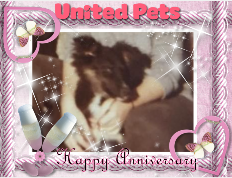 Asiya uploaded   5 hour/s ago