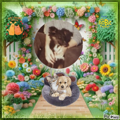 Asiya uploaded   45  day/s  ago