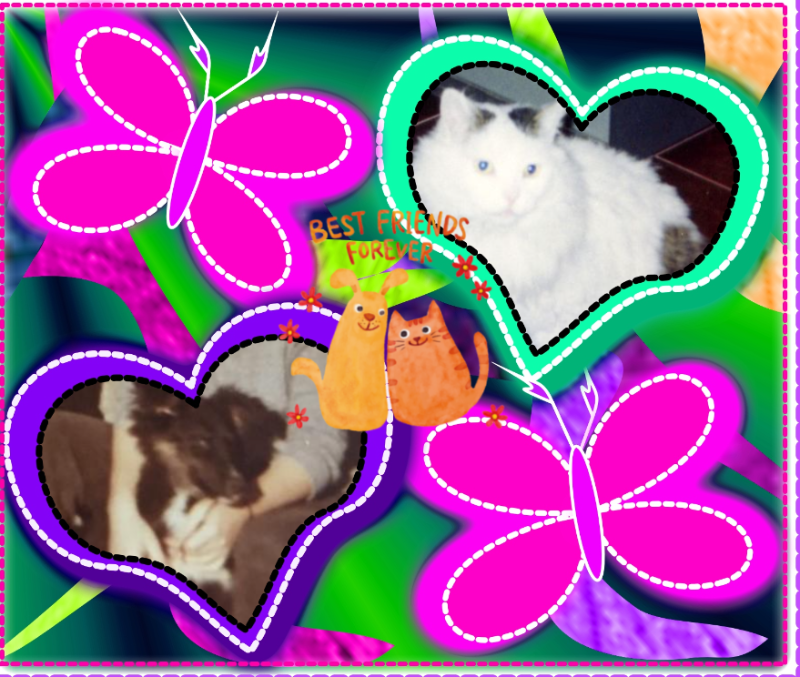 Asiya uploaded   34  day/s  ago