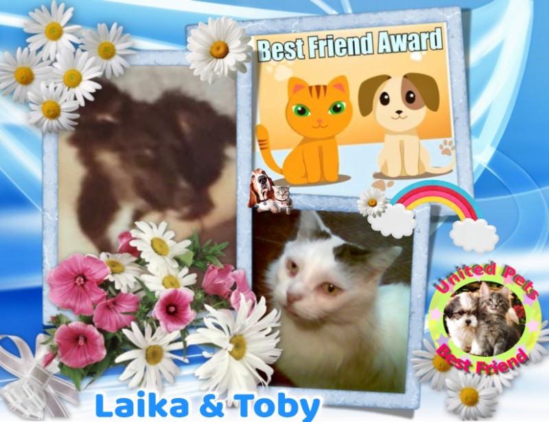 Asiya uploaded   42  day/s  ago