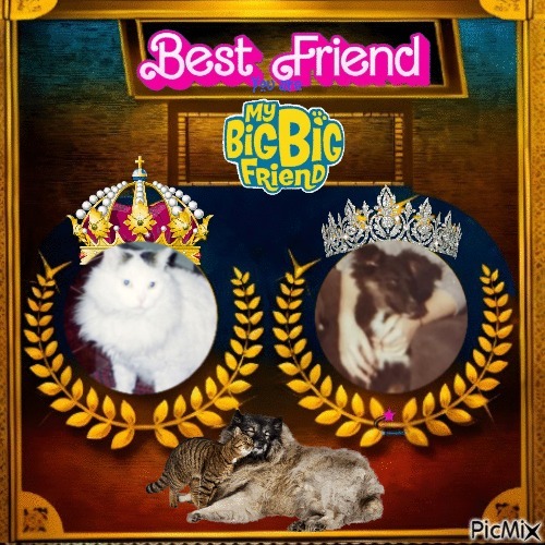 Asiya uploaded   35  day/s  ago