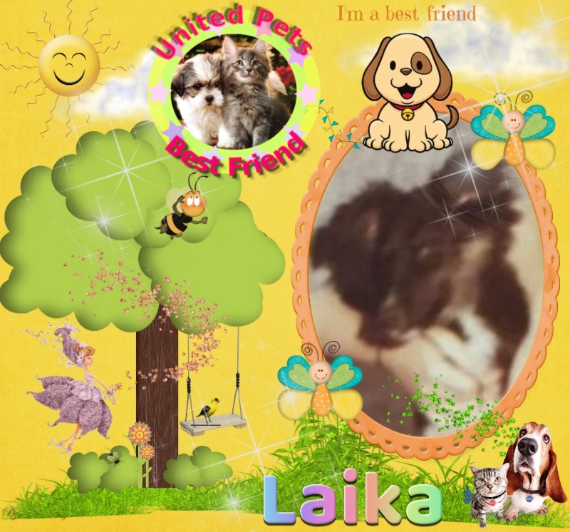 Asiya uploaded   34  day/s  ago