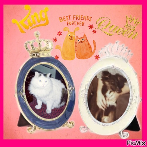 Asiya uploaded   43  day/s  ago