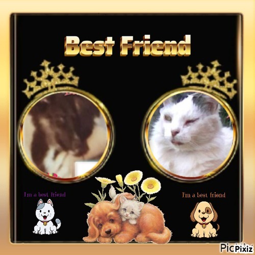 Asiya uploaded   35  day/s  ago